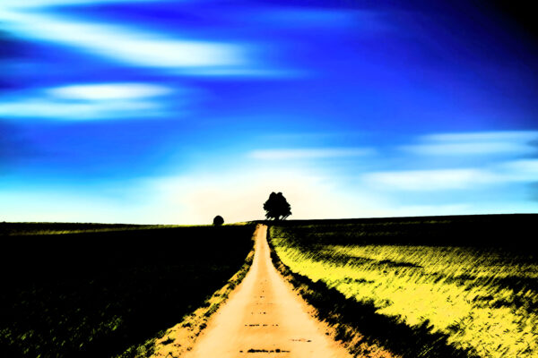 Immagine con headline: Tra morte e vita: Dolores Cannon esplora il regno spirituae