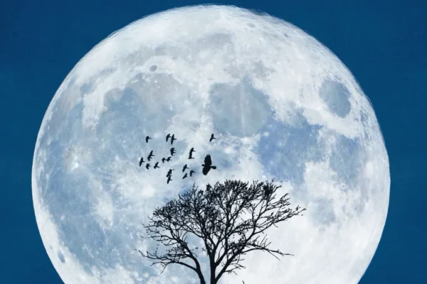 Immagine con headline: Collegamento tra Luna e chiaroveggenza