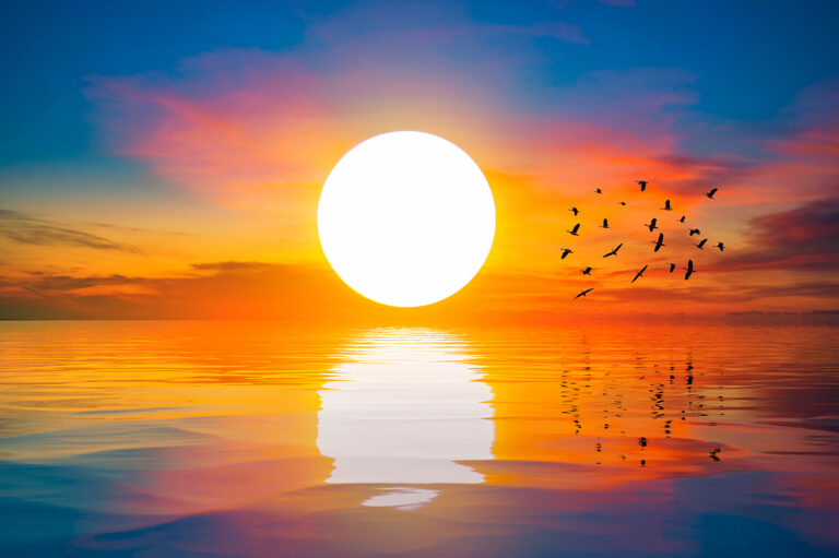 Obbedisci alla Luce.